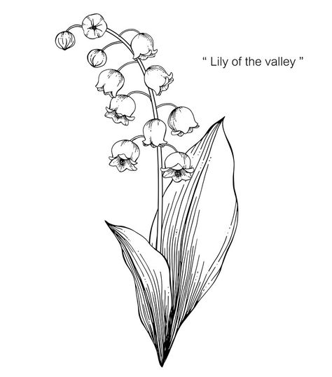 Lily Of The Valley Tattoo, Valley Tattoo, Simple Flower Tattoo, Illustration Black And White, Lily Of The Valley Flowers, Valley Flowers, Birth Flower Tattoos, White Backgrounds, Tattoo Stencil Outline