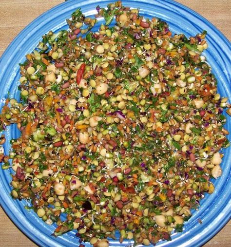 chop w sprouts Short Grain Brown Rice, Parrot Diet, Buckwheat Groats, Vegetable Shop, Adzuki Beans, Bird Treats, Sprouting Seeds, Wheat Berries, Green Lentils