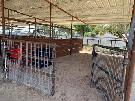 Paradise Paddock, Mare Motel, Beginner Homesteading, Horse Stables Design, Dream Barn Stables, Custom Horse Stalls, Small Horse Barns, Horse Pens, Livestock Barn