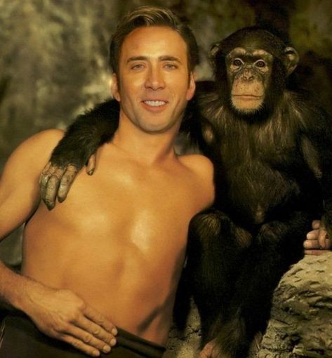 Nicholas Cage Funny, Nickolas Cage, Picolas Cage, Lol Pics, Nicolas Cage, Morning Humor, Funny Animal Memes, Really Funny Pictures, Edgy Memes