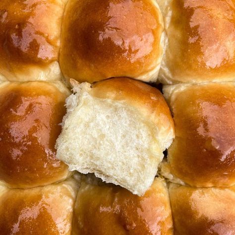 Tangzhong Dinner Rolls - Salt. Butter. Smoke. Tangzhong Dinner Rolls, Roast Dinner Recipes, Cheese Cauliflower, Roasted Carrots And Parsnips, Different Cheeses, How To Cook Cauliflower, Fluffy Dinner Rolls, Bread Soft, Homemade Dinner Rolls