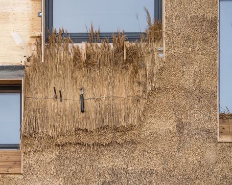 straw facade - elementary school - Sundby, Copenhagen, Denmark - Henning Larsen - 2023 Mad Architects, Water Architecture, Architectural Review, Henning Larsen, Eco Buildings, Eco City, Facade Cladding, Timber Construction, Construction Process