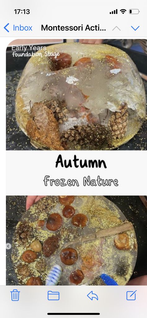 Autumn Planning Ideas Eyfs, Eyfs Pumpkin Activities, Reception Tuff Trays, Autumn Water Tray Ideas, Montessori Classroom Activities, Natural Tuff Tray Ideas, Forest School Autumn Activities, Autumn Early Years, Forest Tuff Tray