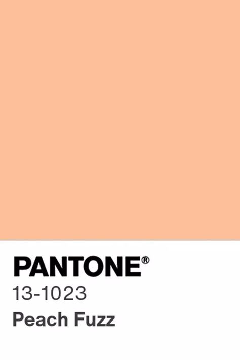 The Pantone 2024 Color of the Year Is Officially Here, and It’s Peachy 2024 Aspirations, Color Pesca, 2024 Colors, Pantone 2024, Dutch Boy Paint, Color Of The Year 2024, Color Durazno, Dark Paint Colors, Trending Paint Colors