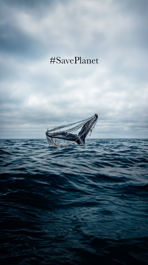 🐋🌊 Explore the urgent need to #SavePlanet with my powerful photo on Pinterest! 📸 Let's shed light on the devastating impact of marine pollution and advocate for ocean conservation. 💙 Together, we can protect our planet and its magnificent creatures. 🌍 Download this striking image now and join the movement for environmental preservation. #OceanConservation #MarinePollution #SaveOurOceans #Photography 📸🌊 Save The Oceans Posters, Save Marine Life Poster, Ocean Pollution Art, Save The Ocean Posters Design, Ocean Moodboard, Ocean Conservation Aesthetic, Ocean Conservation Art, Ocean Conservation Poster, Protect Our Planet