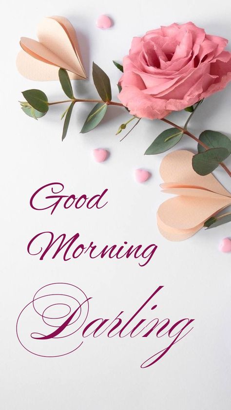 Good Morning Sweetheart Images, Good Morning Darling, Cute Morning Quotes, Good Morning Rose Images, Feather Illustration, Morning Sweetheart, Custom Sportster, Morning Rose, Good Morning Roses