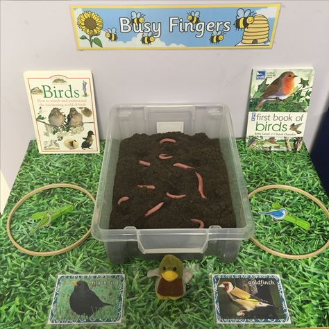 EYFS Busy fingers - feed the birds Insect Eyfs Activities, Bird Eyfs Activities, Finger Gym Eyfs, Bird Watch Activities Eyfs, Insects Eyfs Activities, Superworm Activities Eyfs, Minibeasts Eyfs Activities, Pets Eyfs, Funky Fingers Eyfs