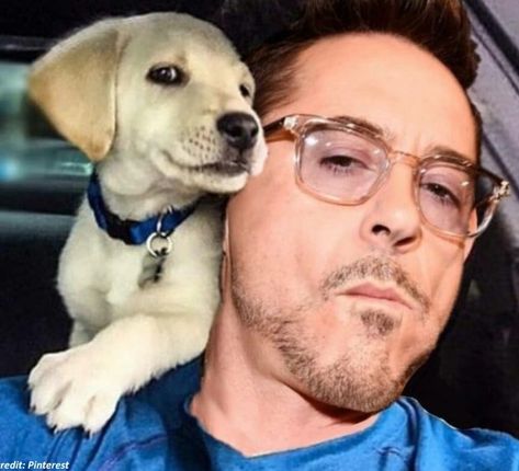 Cute Robert Downey Jr, Robert Downey Jnr, Tony Stark Quotes, Robert Jr, Toni Stark, Robert Downey Jr., Robert Downey Jr Iron Man, Iron Man Tony Stark, Marvel Actors