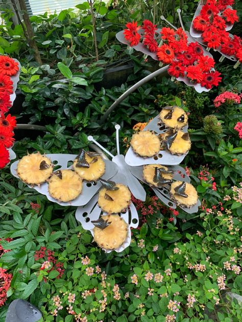 A photo of a metal butterfly with pineapple slices sitting on top and there are a range of butterflies feeding on the pineapples. Singapore Butterfly Garden, Singapore Airport Butterfly Garden, Singapore Airport, Butterfly Farm, Singapore Changi Airport, Singapore Botanic Gardens, Aesthetic Butterfly, Pop Art Decor, Boy Best Friend Pictures