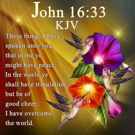 John 16:33 KJV King James Bible Bible Kjv, Bible Verses Kjv, King James Bible Verses, Quotes Bible, Kjv Bible, King James Bible, Prayer Scriptures, Biblical Quotes, Favorite Bible Verses