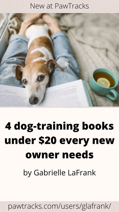 Many dog owners like to take obedience and training into their own hands, making resources like a book especially helpful. These four books are all highly recommended online, by pet parents and canine professionals alike, so you know you’ll be learning from a trustworthy source. From basic training to advanced tricks for show, these publications cover everything. 4 dog-training books under $20 every new owner needs Dog Training Books, Dog Whisperer, Basic Training, Best Puppies, Teaching Style, Dogs And Kids, Working With Children, Dog Trainer, Puppy Training