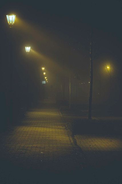 35mm Film Photography Aesthetic Night, Low Light Photography Outdoor, Foggy Places, Fog Aesthetic, Sabrina Core, Evening Pics, Cosy Aesthetic, Low Light Photography, Night Drive