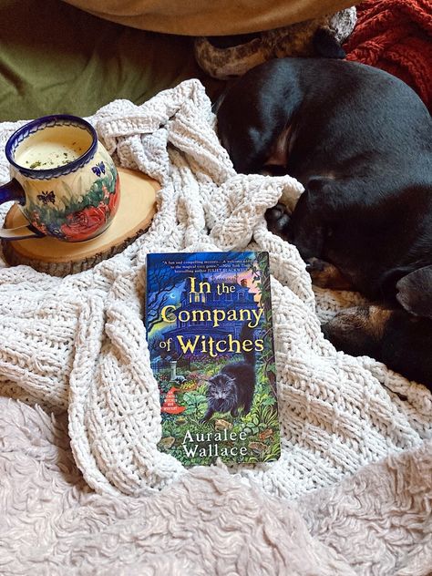 In The Company Of Witches Book, In The Company Of Witches, In The Company Of Witches Aesthetic, Spooky Fall Books, Cozy Mystery Book Aesthetic, Witch Book Aesthetic, Cottage Core Books, Cozy Witch Aesthetic, Cosy Books