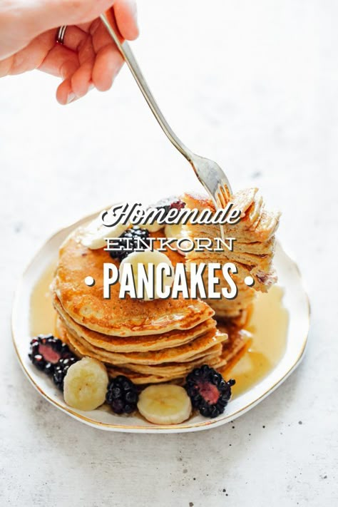 Homemade Einkorn Pancakes (Make-Ahead Breakfast or Lunchbox Option) - Live Simply Einkorn Pancakes, Clean Breakfast Ideas, Einkorn Bread, Einkorn Recipes, Clean Breakfast, Einkorn Flour, Healthy Meals For Two, Healthy Work Snacks, Snacks For Work