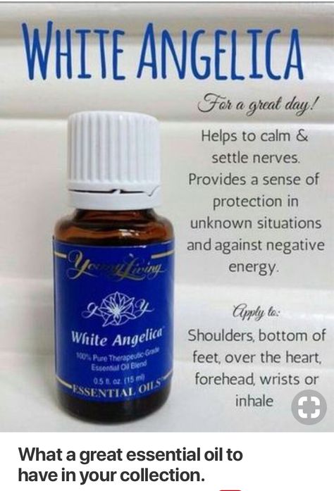 White Angelica Young Living White Angelica Essential Oil, White Angelica, Essential Oil Remedy, Young Living Essential Oils Recipes, Yl Oils, Oil Remedies, Essential Oils Herbs, Essential Oils Health, Yl Essential Oils