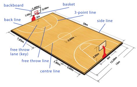 Nba Arenas, Basketball Court Size, New York Basketball, Outdoor Basketball Court, Warriors Stephen Curry, International Games, Sport Park, Soccer Goal, Free Sport