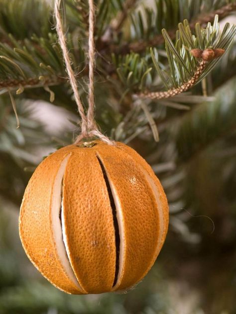 50 Incredible DIY Christmas Ornament Tutorials for 2021 Orange Pomanders, Natal Natural, Navidad Natural, Natural Christmas Tree, Fruit Ornaments, Natural Christmas Decor, Diy Christmas Ornament, Orange Christmas, Navidad Diy