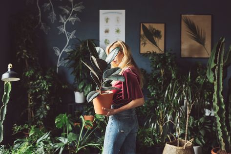 Florist Photoshoot, Marble Queen Pothos, Tattoo Plant, Herb Garden In Kitchen, Pothos Plant, Indoor Herb Garden, Plant Photography, White Planters, Herbs Indoors