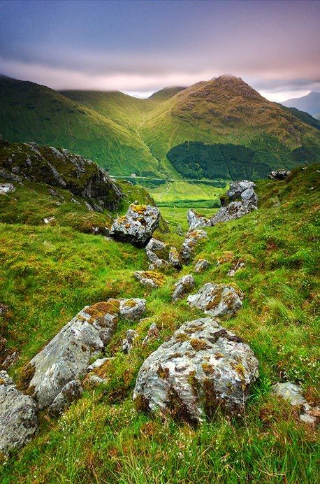 Paesaggi mozzafiato, Scozia Foreign Places, Red Stag, Mysterious Island, Pretty Photography, View Point, Virtual Travel, England And Scotland, To Infinity And Beyond, Scotland Travel