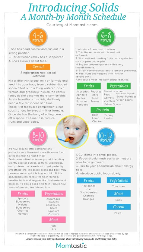 Baby Solid Food Chart, Baby Food Guide, Baby Solid Food, Baby Food Chart, Baby Fruit, Baby Information, Baby First Foods, Introducing Solids, Baby Weaning