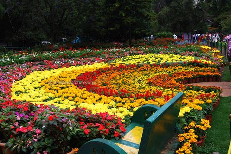 Half circle flower garden beds ooty botanical garden-I clicked this picture in ooty botanical garden, Camera -Nikon D40x Circle Flower Garden, Flower Garden Beds, Circle Garden, Circle Flower, Ooty, Vintage Drawing, Garden Flower, Half Circle, All About Plants