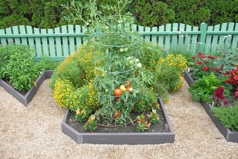 25 Raised Garden Bed Ideas for Growing Veggies and Flowers Raised Garden Bed Ideas, Garden Bed Ideas, Diy Raised Garden, Gardening Trends, Growing Veggies, Decorating Advice, Garden Pests, Garden Care, Garden Bed