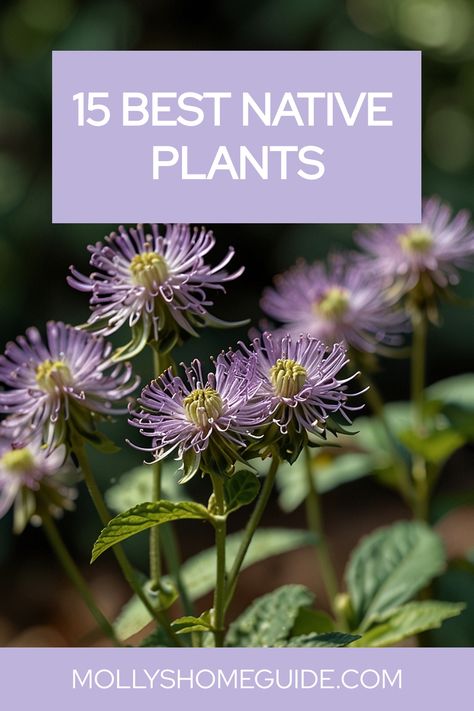 Discover the beauty and benefits of native plants with these inspiring ideas. Whether you're looking for Midwest, Southern California, or Pacific Northwest native species, there's a perfect fit for your garden. Create a vibrant Australian-inspired landscape or cultivate a thriving pollinator garden using native perennials. Explore Illinois and Wisconsin natives, perfect for shaded spots or sunny corners. Learn about Maryland and Virginia plants that attract pollinators while adding natural charm Hardy Shrubs, Low Water Landscaping, Cardinal Flower, Bee Balm, Attract Pollinators, Pollinator Garden, How To Attract Hummingbirds, California Poppy, Black Eyed Susan