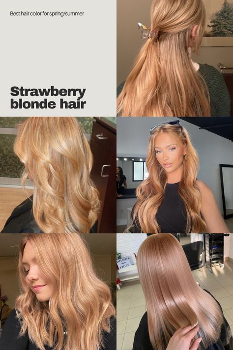 Strawberry blonde hair
#LongHair #Blonde #HairAesthetic #2024Hair Strawberry Blonde All Over Color, Caramel And Pink Hair, Strawberry Blonde Hair On Tan Skin, Blonde Strawberry Hair, Strawberry Beige Blonde Hair, Honey Strawberry Blonde Hair, Dirty Strawberry Blonde Hair, Subtle Strawberry Blonde, Dimensional Strawberry Blonde