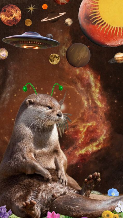 #otter #flower #space #brown #alien #ploob #blorg Otters, Flowers