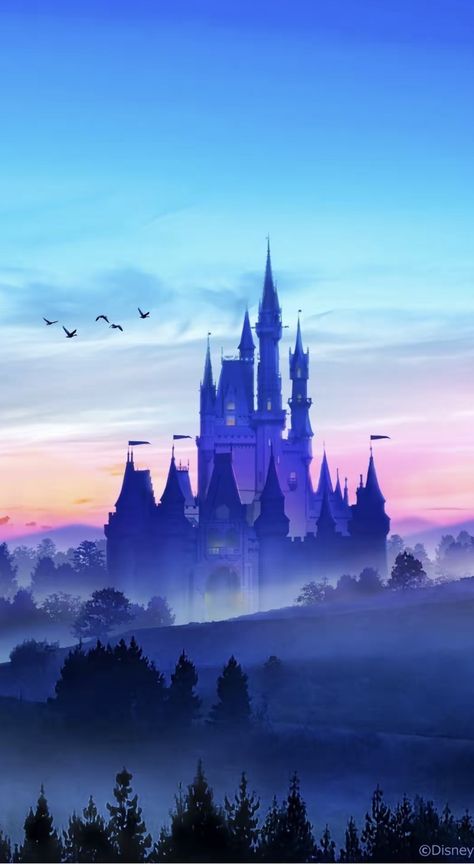 Disney Canvas Art, Castle Background, Disney Rooms, Disney Wall, Disney Magic Kingdom, Beauty Wallpaper, Old Disney, Disney Aesthetic, Disney Castle