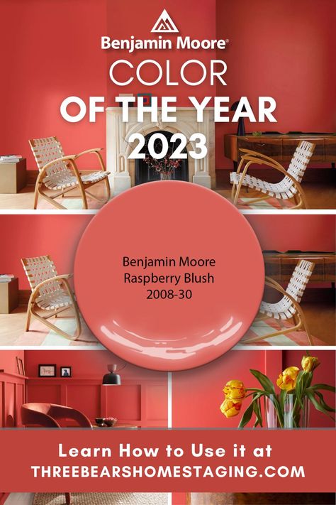 2023 Paint Colors Of The Year Benjamin Moore, Benjamin Moore Colour Of The Year 2023, Benjamin Moore Paint 2023, Bright Colored Interiors, Benjamin Moore Color Of Year 2023, Benjamin Moore Paint Colours 2023, Color Of The Year 2023 Benjamin Moore, Color Of The Year Benjamin Moore, Bm Raspberry Blush