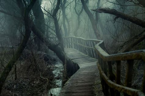 This Hidden Chilling Forest Path Looks Like A Trail To Mordor Wooden Path, Dark Naturalism, Creeped Out, Modern Magic, Forest Path, Foggy Morning, Beautiful Mountains, Nature Aesthetic, Dark Aesthetic