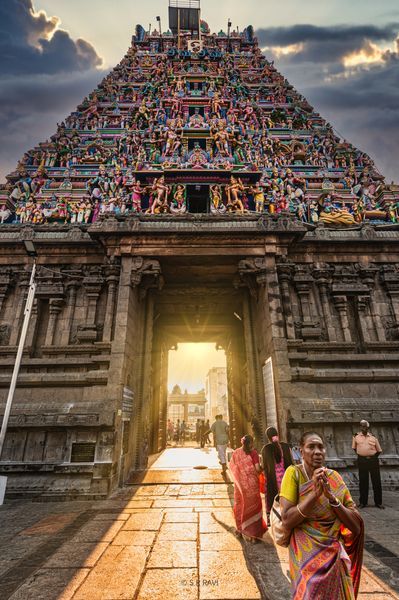 Madras City, Blessings From God, Temple India, Sacred Groves, Indian Temple Architecture, India Architecture, Hindu Temples, Ancient Indian Architecture, Temple Photography