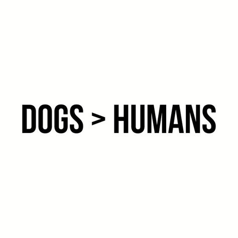 Dogs Better Than Humans Quotes, Dog Better Than Human Quotes, Dogs Are More Loyal Than People Quotes, Dogs Over Humans Quotes, Dogs Because People, I Like Dogs More Than People, Caption For Animal Lover, The More I Learn About People Dogs, Dog T Shirts For Dogs