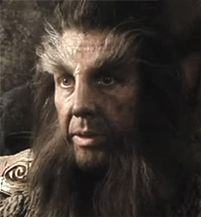 Beorn Beorn Hobbit, The Desolation Of Smaug, Woodland Realm, Elf Man, Desolation Of Smaug, An Unexpected Journey, Movie Series, Poster Drawing, Thranduil