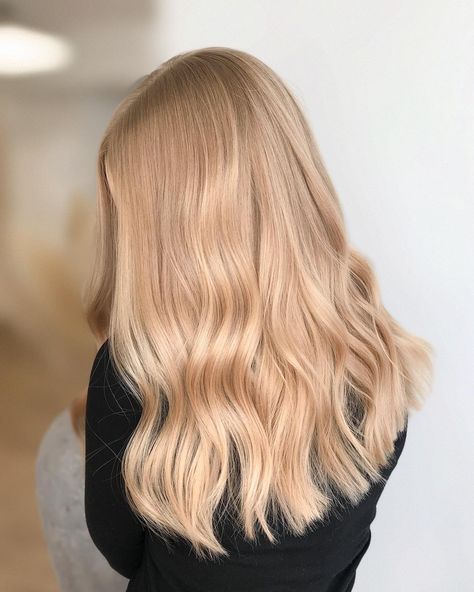 The perfect peach blonde colour created by @hairbyheidihanninen at Instagram. Result achived by mixing Maria Nila's Cool Cream, Vanilla and Peach Colour Refresh. Pearl Strawberry Blonde Hair, All Over Colour Blonde, Blonde Hair Red Undertones, Pale Honey Blonde Hair, Vanilla Hair Color Blondes, Light Peach Blonde Hair, Platinum Strawberry Blonde Hair, Strawberry Blonde Hair Toner, Peachy Strawberry Blonde Hair