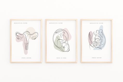 Digestive Anatomy, Anatomy Wall Art, Clinic Decor, Doctors Office Decor, Art Anatomy, Anatomy Poster, Hospital Logo, Gastrointestinal System, Clinic Interior Design