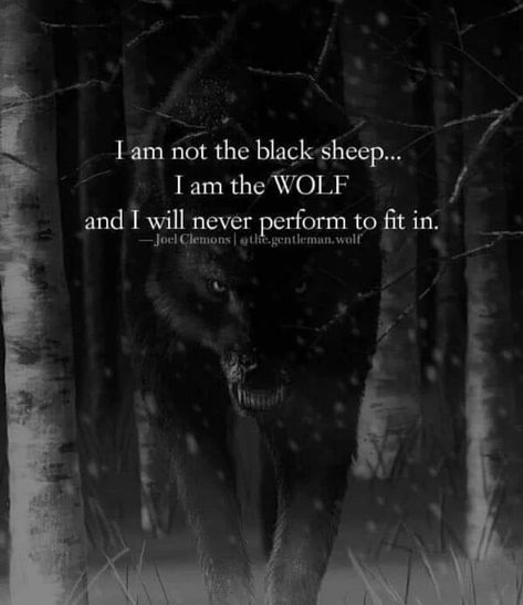 Wolf Quote, Lone Wolf Quotes, Twisted Quotes, Words To Live By Quotes, Life Choices Quotes, Magic Quotes, Wolf Quotes, Smart Quotes, Savage Quotes