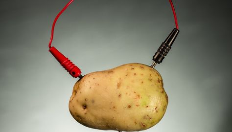 By virtue of the phosphoric acid and dissolved salts it contains, a potato can conduct electricity. When you insert a positive electrode made of copper and a negative electrode made of zinc, a charge will collect, and if you connect the electrodes of your potato battery, you'll detect a voltage. Potato Battery, Alternative Power Sources, Different Fruits And Vegetables, Free Energy Projects, Copper Rod, Raw Potato, Battery Powered Light, A Potato, Grocery Items