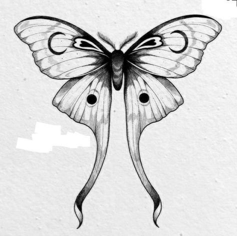 Long Tail Butterfly Tattoo, Gothic Fairy Tattoos For Women, Winged Insect Tattoo, Gothic Moth Drawing, Gothic Butterfly Drawing, Luna Moth Wings Drawing, Butterfly Shoulder Tattoo Black Women, Moth Shoulder Tattoo, Moth Wings Tattoo