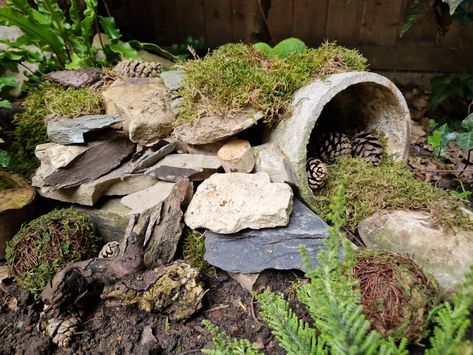 We love designing gardens with wildlife in mind. This hibernaculum provides a fantastic shelter for amphibians and insects, giving them somewhere safe and warm to rest. We'd love to introduce more wildlife-friendly features like this, drop us a message if you're interested in creating spaces like this 😁  #savethebees #eco #habitats #animals #happy #enviroment #craft #natural #living #sun #sustainability #kent #survival #home #love #gardening #sustainablegardensolutions Designing Gardens, Habitat Garden, Wildlife Garden, National Wildlife Federation, Cottage Garden Design, Wildlife Gardening, Wildlife Habitat, Sustainable Garden, Save The Bees