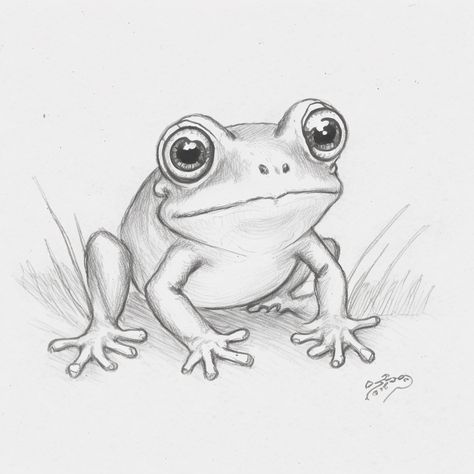 Easy Realistic Animal Drawings, Frog Tattoos Realistic, Little Frog Drawing, Simple Frog Tattoo, Frog Drawing Ideas, Cute Frog Drawing, Draw A Frog, Cartoon Lizard, Frog Sketch