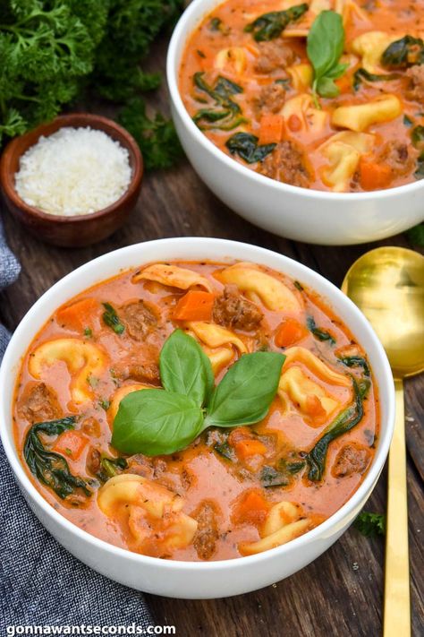 Creamy tortellini soup is loaded with sausage, tomatoes, cream, & tons of Italian flavor. It’s hearty enough for a meal, makes a big pot, & is easy to make! #CreamyTortelliniSoup #CreamySoup #TortelliniSoup #Soups #ComfortFood Meatball Tortellini, Tortellini Soup Crockpot, Instapot Soup Recipes, Soup Prep, Meatball Tortellini Soup, Cheese Tortellini Soup, Bisque Soup Recipes, Creamy Tortellini, Creamy Tortellini Soup