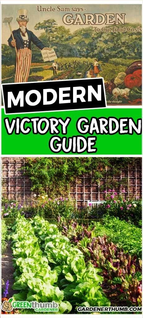 Victory Garden with a modern twist. Learn design & plan tips on how to grow a victory garden. We share some really cool vintage history posters during world war I Small Victory Garden, Victory Garden Plans For Family Of 6, Modern Victory Garden, Victory Garden Ideas, 2023 Garden Trends, Midwest Garden Design, Victory Garden Layout, Garden Layout Ideas Design, Victory Garden Plans