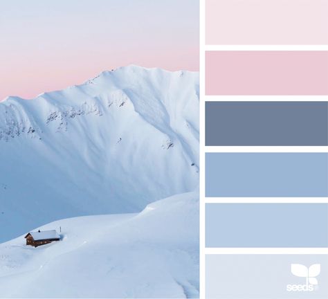 Winter Tones | design seeds | Bloglovin’ Seeds Color Palettes, Seeds Color, Winter Color Palette, Color Schemes Colour Palettes, Design Seeds, Color Palette Design, Color Balance, Color Stories, Winter Colors