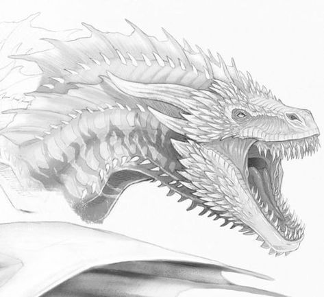 778 Detailed pencil sketch of a roaring dragon with sharp scales and an open mouth, displaying fierce expression. | Sky Rye Design House Of Dragon Drawing, Game Of Thrones Dragon Art, Game Of Thrones Drogon, Roaring Dragon, Dragons Drawing, Wing Structure, Dragon Medieval, Drogon Game Of Thrones, Drawing Dragons