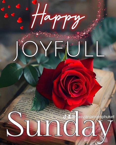 Sunday Flowers, Blessing Quotes, Sunday Greetings, Sweetheart Quotes, Morning Sweetheart, Good Morning Sweetheart Quotes, Good Morning Spiritual Quotes, Good Morning Roses, Night Pictures