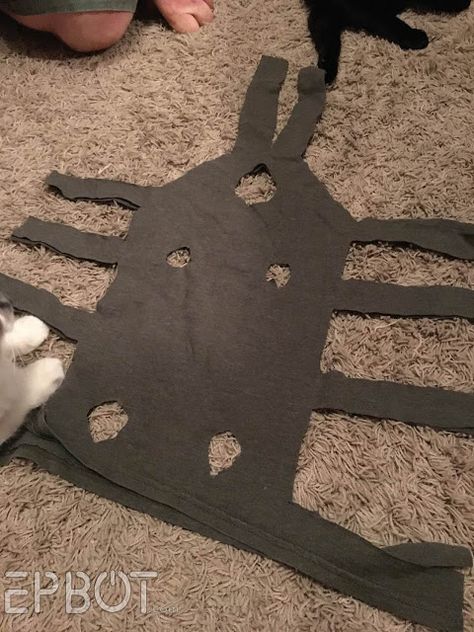 EPBOT: New & Improved DIY Cat Onesie: Skip The Cone & Make This Out Of An Old T-Shirt, Instead! Fat Cat Meme, Onesie Diy, Cat Onesie, Cone Collar, Dog Cone, Dog Clothes Diy, Cat Meme, Fat Cat, Diy Cat