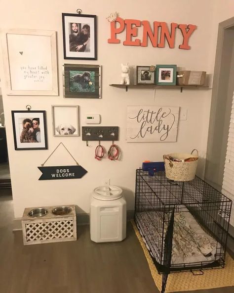 24 Ideas for Designing & Organizing a Dog Room | Extra Space Storage Dog Bedroom Ideas, Dog Room Design, Dog Nook, Dog Station, Dog Room Decor, Dog Bedroom, Puppy Room, Dog Storage, Dog Organization