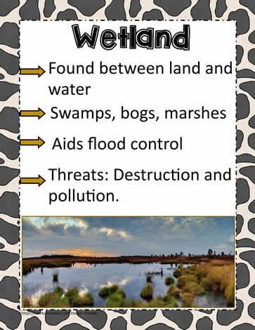 Poster for Wetlands Wetland Ecosystem Project, Wetlands Activities, Wetland Biome, Freshwater Ecosystem, Biome Project, Recycling Activities For Kids, Biomes Project, World Wetlands Day, Ecosystems Projects